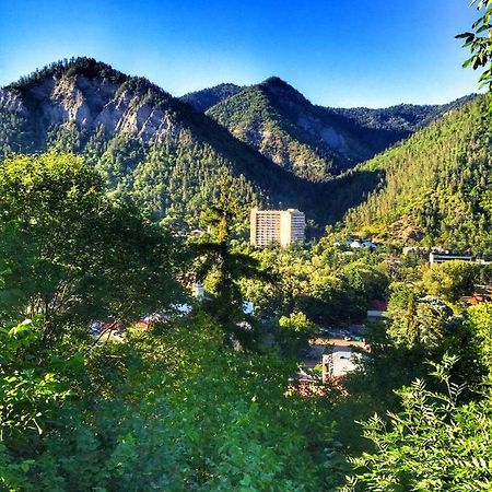 Borjomi Veranda المظهر الخارجي الصورة