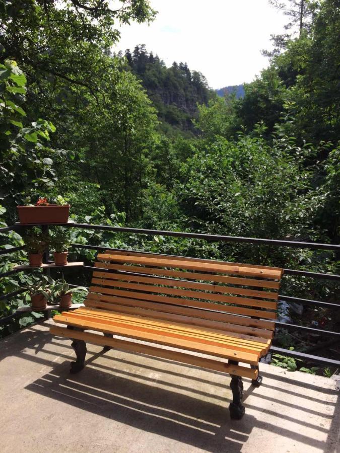 Borjomi Veranda المظهر الخارجي الصورة