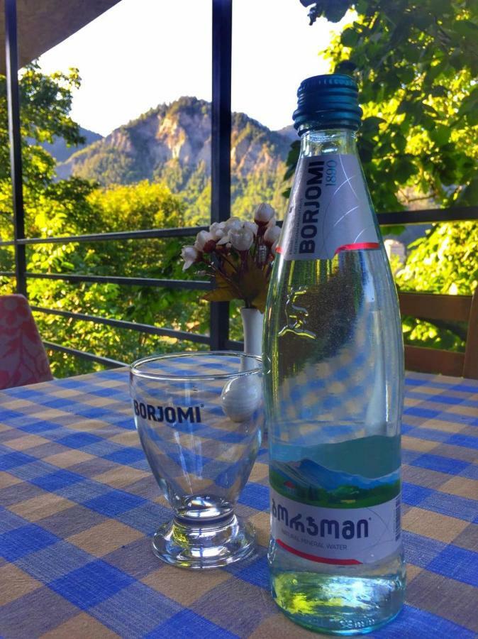 Borjomi Veranda المظهر الخارجي الصورة