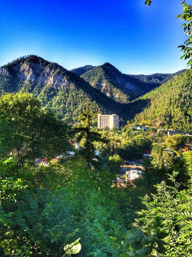 Borjomi Veranda المظهر الخارجي الصورة