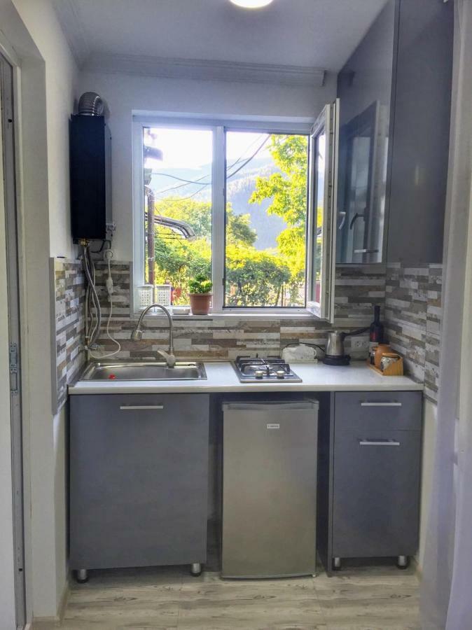 Borjomi Veranda المظهر الخارجي الصورة